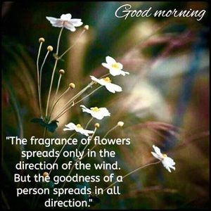 Meet your Posher, Jith